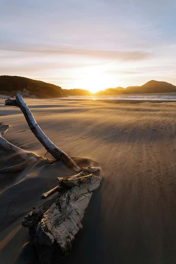 Mt. Eden, Piha Beach & Karekare Waterfalls - PRIVATE TOUR - Mt. Eden gives you Auckland at a glance