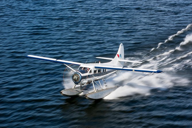 Mt. Tarawera Volcano Scenic Floatplane Tour from Rotorua - Key points about the Mt. Tarawera flight