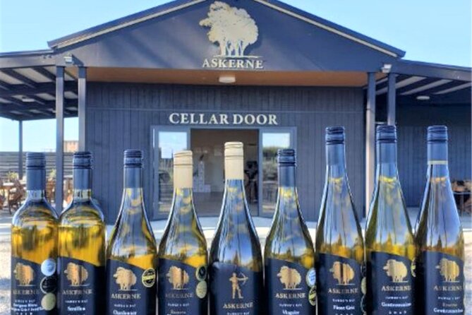 Napier: Afternoon Wine Tasting + visit Silky Oaks Chocolates - Silky Oaks Chocolates breaks up the wine