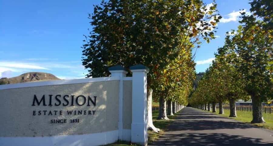 Napier: Afternoon Winery & Gin Tasting Tour Thu Fri Sat - A relaxed route through Hawke’s Bay wine country