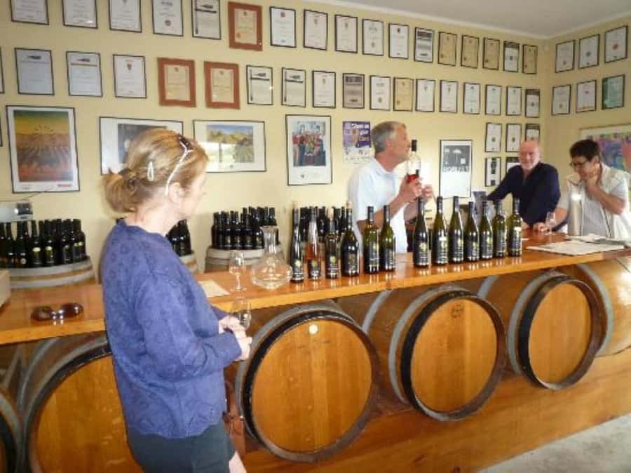 Napier: Afternoon Winery & Gin Tasting Tour Thu Fri Sat - What you are likely to taste
