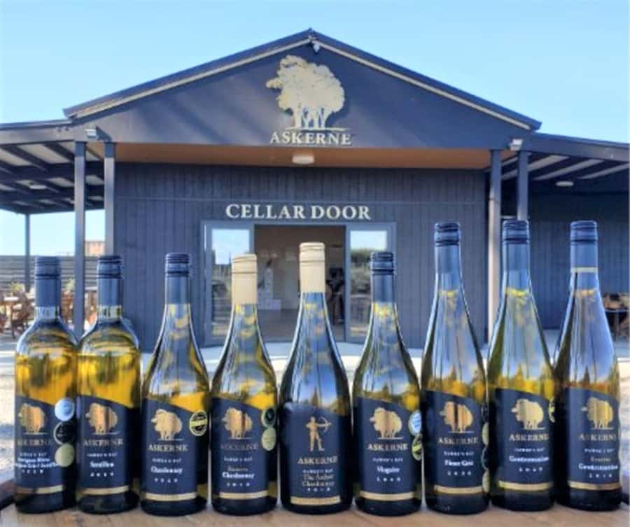 Napier: Afternoon Winery & Gin Tasting Tour Thu Fri Sat - Who will get the most from this tour