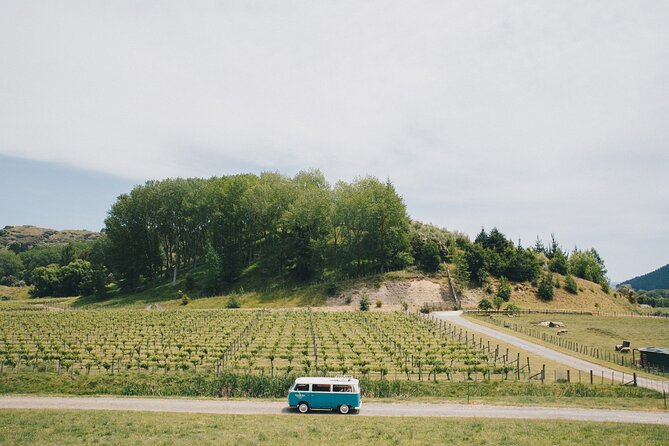 Napier and Hawkes Bay Scenic and Art Deco Tour by VW Kombi - Te Mata Peak and Hawke’s Bay from above