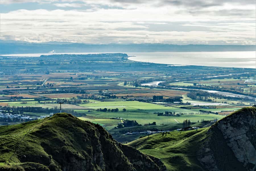 Napier: Art-Deco + Te Mata Peak+ Garden Walk + Wine Tasting - Is $89 good value?