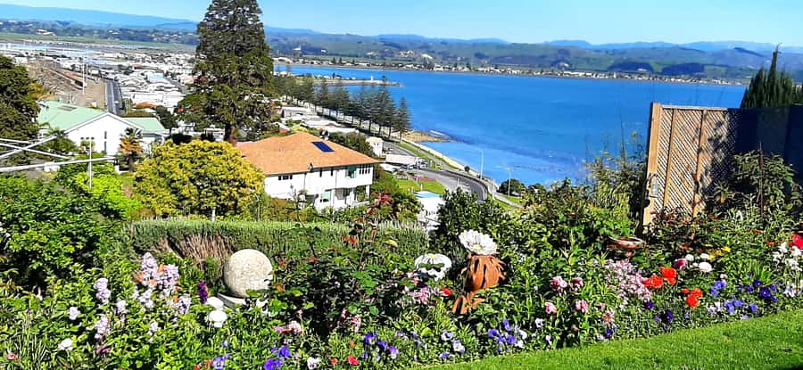 Napier: Art-Deco + Te Mata Peak+ Garden Walk + Wine Tasting - Bluff Hill and the ship below