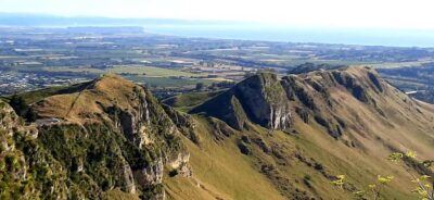 Art-Deco + Te Mata Peak+ Garden Walk + Wine Tasting