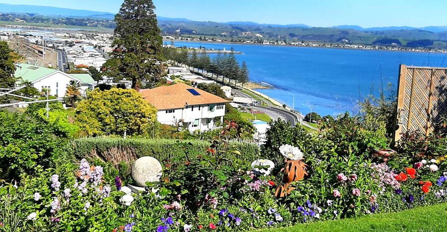Napier: Art-Deco + Te Mata Peak+ Garden Walk + Wine Tasting - Cruise timing and meeting advice