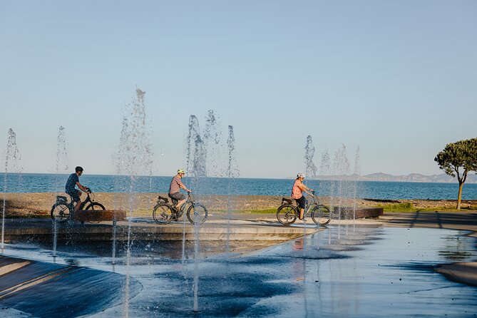 Napier Bike Hire - The bikes, service, and small practical details