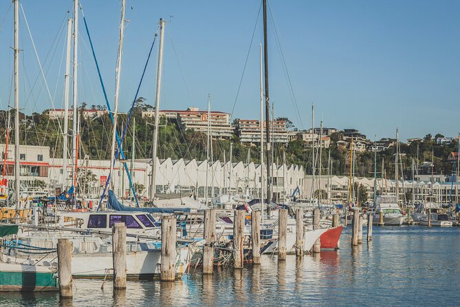 Napier Bike Hire - Who will enjoy this most