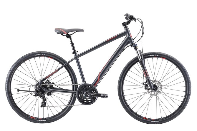 Napier Bike Hire - Getting fitted with the right bike