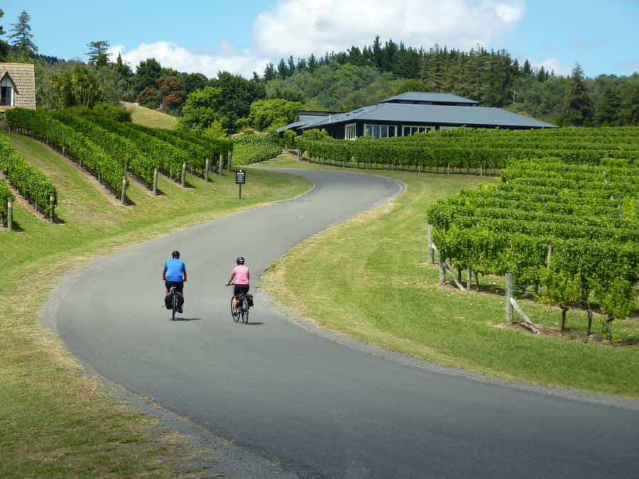 Napier: Cape Coast Winery Tour on Pedal or E-Bikes - From Ahuriri to Cape Kidnappers by shuttle
