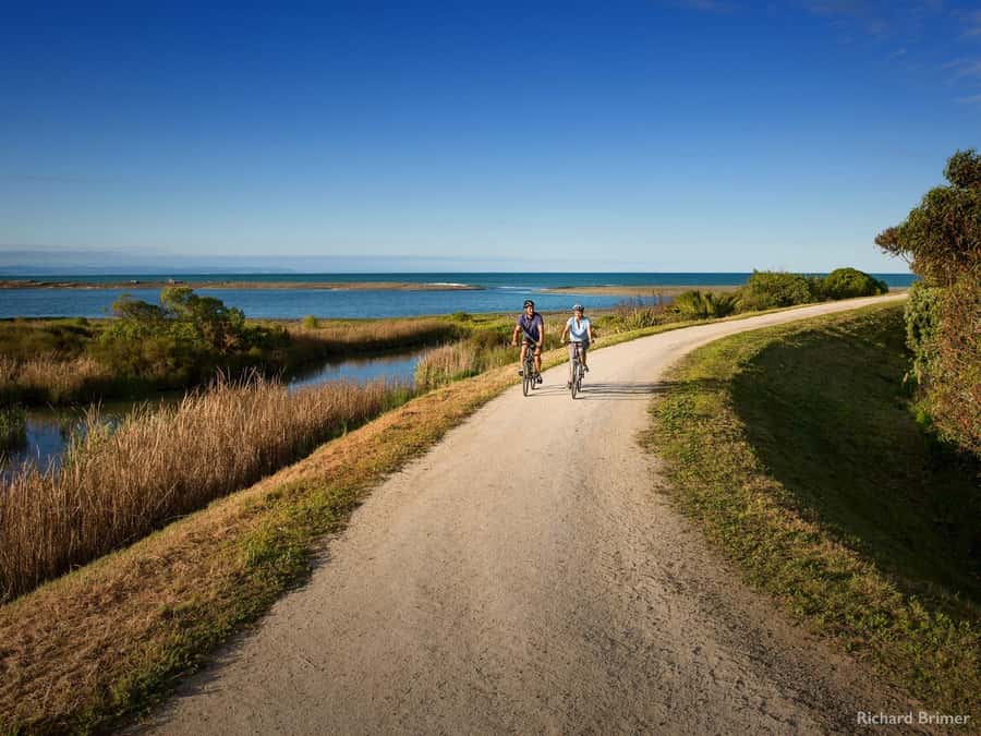 Napier: Cape Coast Winery Tour on Pedal or E-Bikes - Clearview Estate and Elephant Hill set the tone