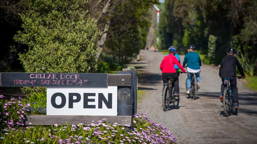 Napier: Cape Coast Winery Tour on Pedal or E-Bikes - What the NZD 67 price really covers