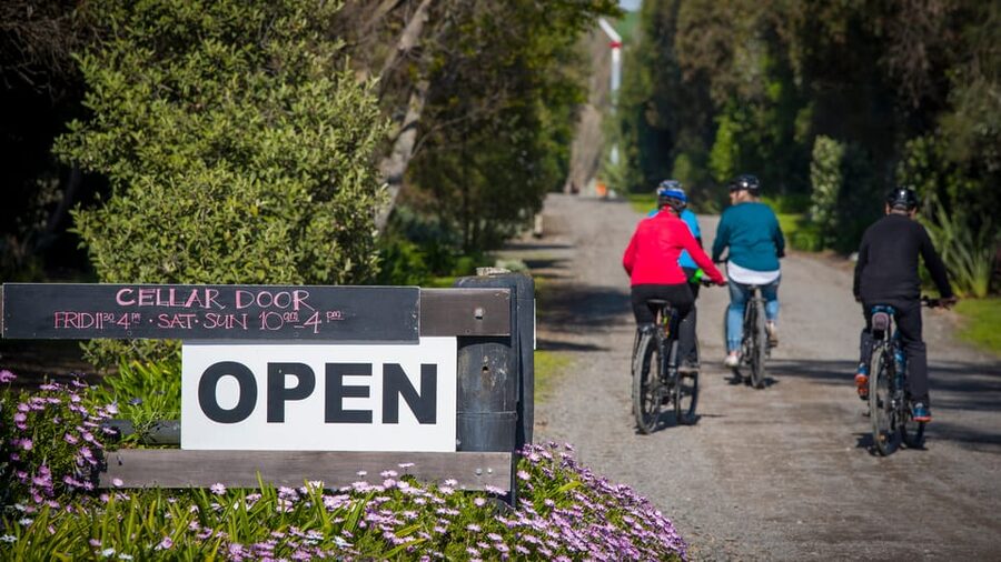 Napier: Cape Coast Winery Tour on Pedal or E-Bikes - Who will enjoy this day most