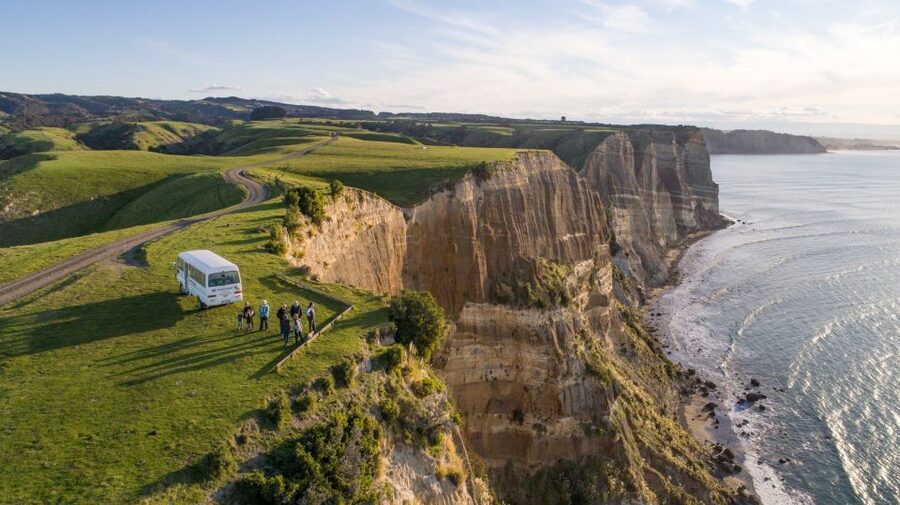 Napier: Cape Kidnappers Gannet, Nature & Sightseeing Tour - Should You Book Cape Kidnappers Gannet Safari?