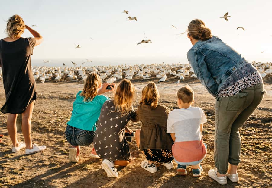 Napier: Cape Kidnappers Gannet, Nature & Sightseeing Tour - The Ride Across Private Cape Kidnappers Farm
