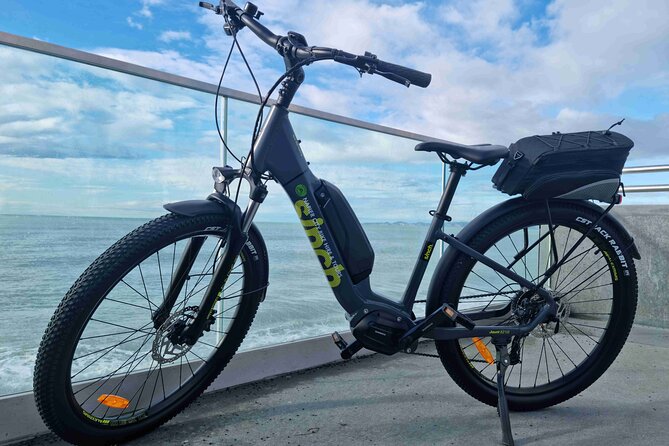 Napier E-bike Hire - The bike briefing and route planning