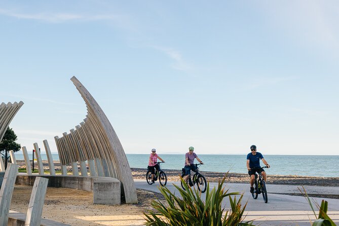 Napier E-bike Hire - Coastal paths, wetlands, and wildlife