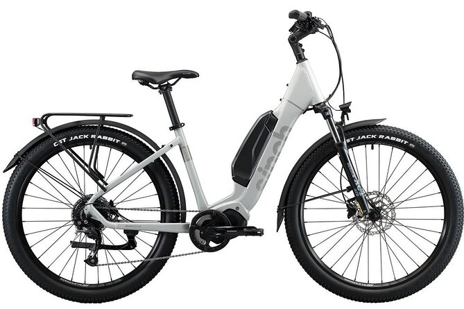 Napier E-bike Hire - Weather, children, and practical comfort