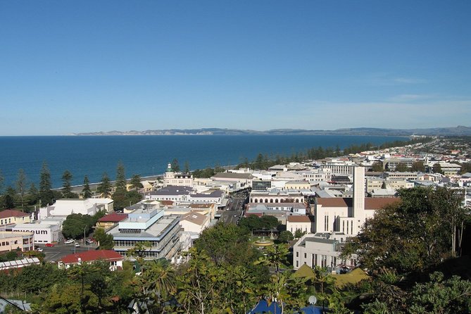 Napier Shore Excursion: City Sights and Hawke's Bay Tour - A quick way to see Napier beyond the port