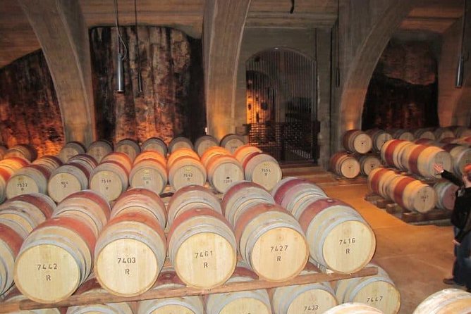 Napier Shore Excursion: Wine & Art Deco Tour - Key points at a glance