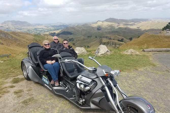 Napier Shore Excursion: Wine & Art Deco Tour - Ending with three local beers or ciders