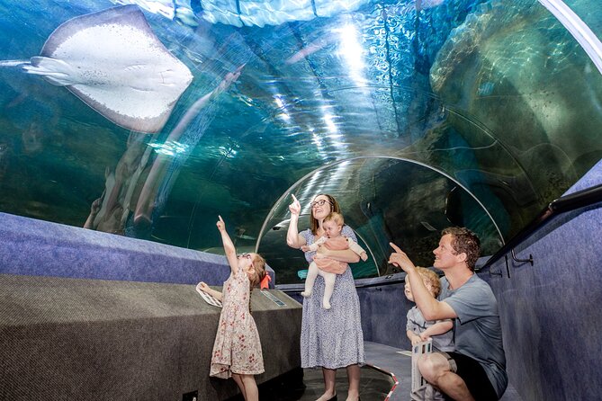 National Aquarium of New Zealand in Napier General Admission - Practical details for your visit