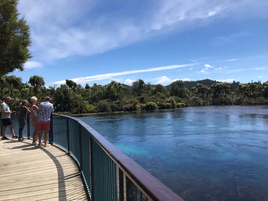 Nelson: Abel Tasman Cruise-Fly Day Tour - Why this Abel Tasman day works so well