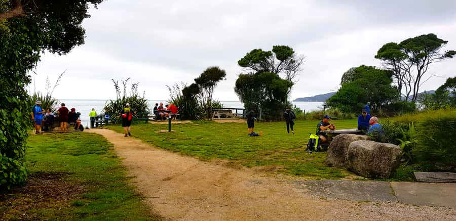Nelson: Abel Tasman Cruise-Fly Day Tour - Should you book the Nelson cruise-fly tour?