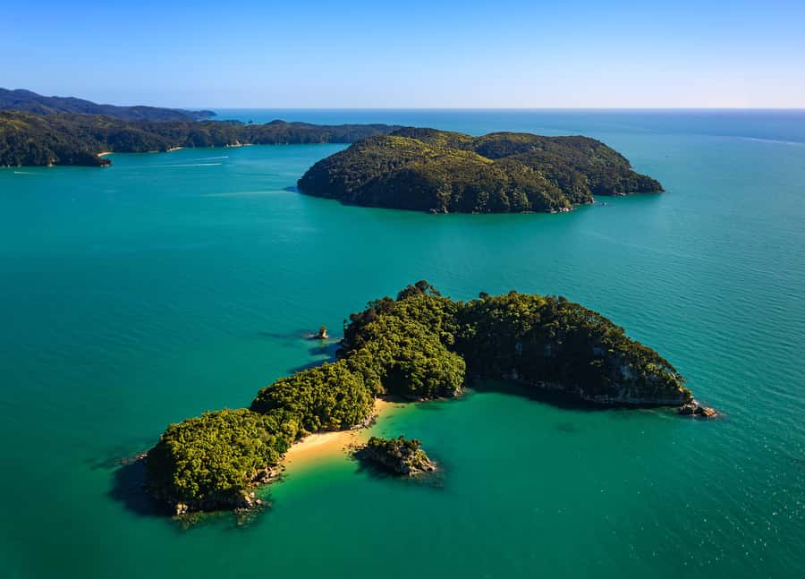 Nelson: Abel Tasman Cruise-Fly Day Tour - The 30-minute flight from Golden Bay to Nelson