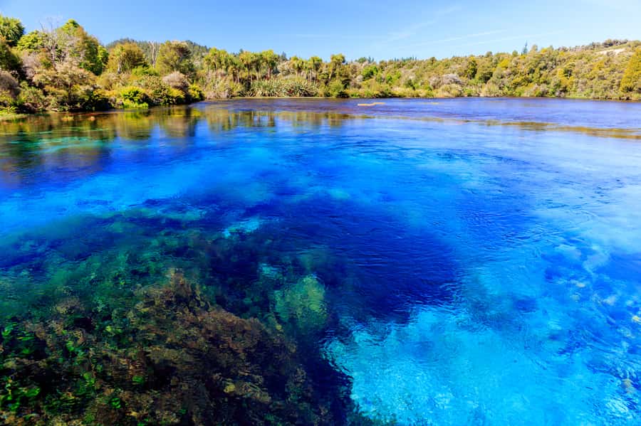 Nelson: Abel Tasman Cruise-Fly Day Tour - Who should book this day?