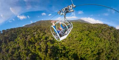 Cable Bay Adventure Park Skywire Experience