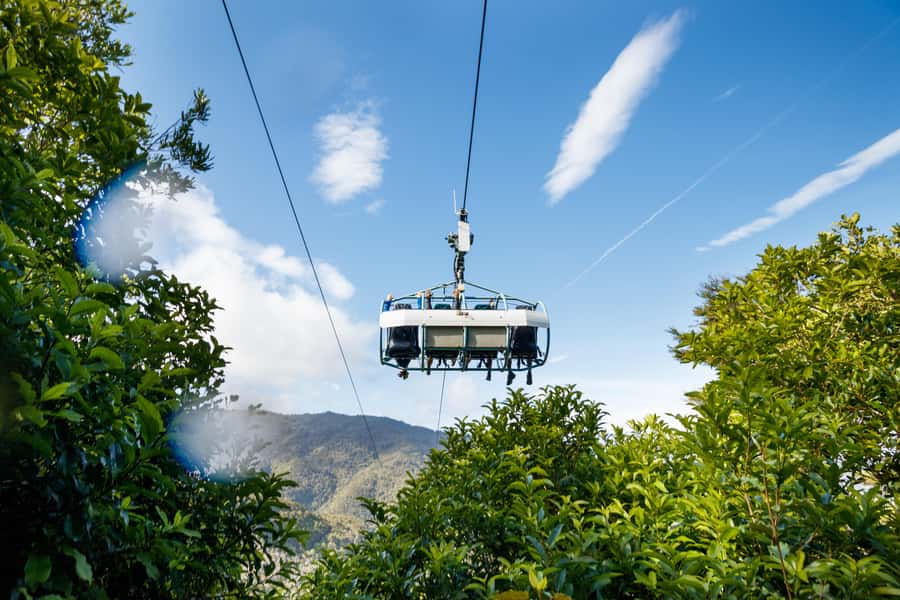 Nelson: Cable Bay Adventure Park Skywire Experience - Food, timing, and a useful Nelson plan
