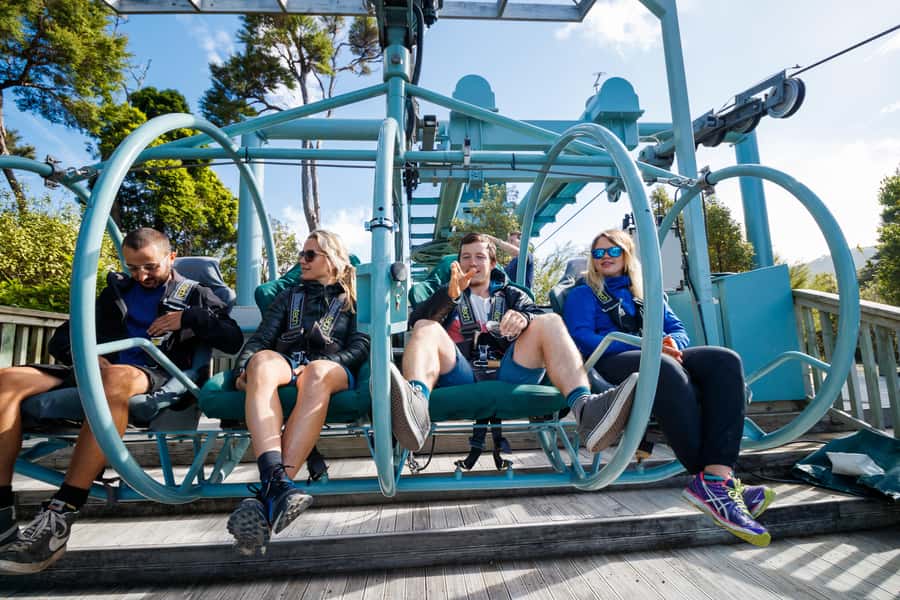 Nelson: Cable Bay Adventure Park Skywire Experience - Should you book the Nelson Skywire?