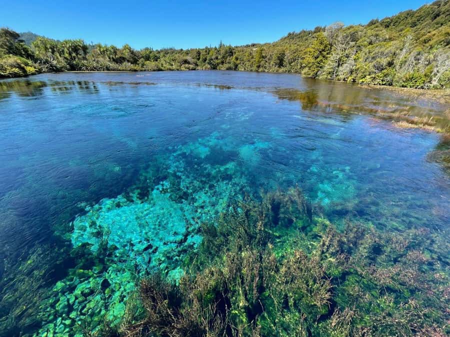 Nelson: Golden Bay in a Day Tour - Key points at a glance