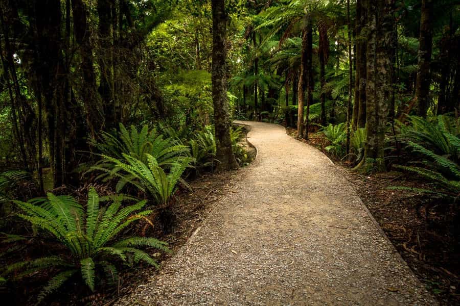 Nelson: Golden Bay in a Day Tour - The Grove Reserve and a quieter final stop