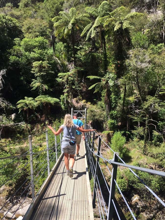 Nelson: Golden Bay in a Day Tour - The guide can shape the day