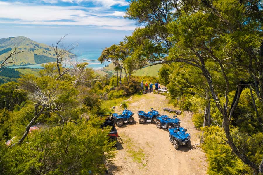 Nelson: Guided Quad Biking Tour Through Forest and Farmland - At a Glance