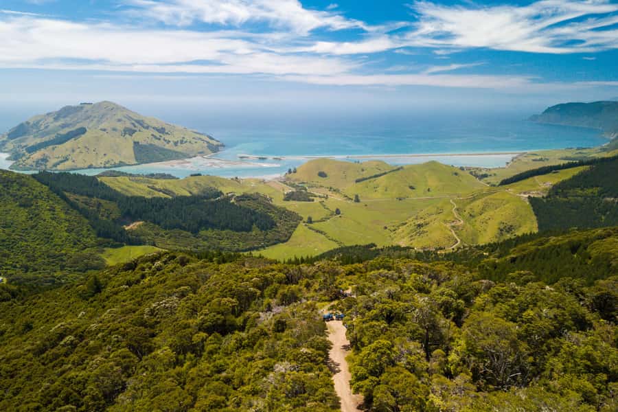 Nelson: Guided Quad Biking Tour Through Forest and Farmland - The 2.5-Hour Bayview Circuit