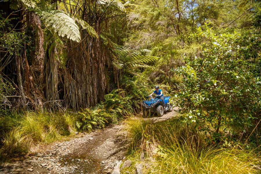 Nelson: Guided Quad Biking Tour Through Forest and Farmland - What the Forest, Farm, and Coast Add to the Experience