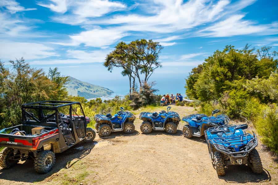 Nelson: Guided Quad Biking Tour Through Forest and Farmland - Who Will Enjoy This Most?