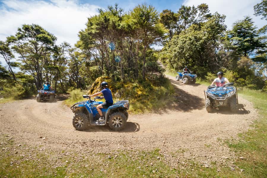 Nelson: Guided Quad Biking Tour Through Forest and Farmland - Practical Details Before You Book