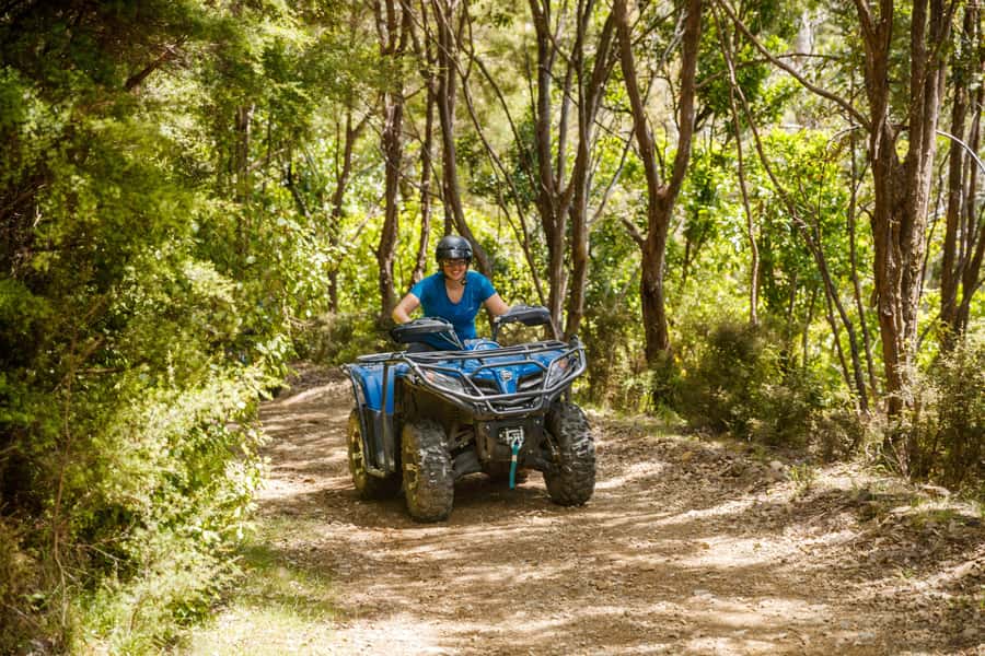 Nelson: Guided Quad Biking Tour Through Forest and Farmland - My Verdict: Book the Bayview Circuit if You Have the Time