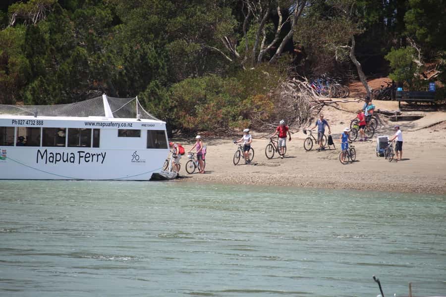 Nelson to Mapua: Full-Day Cycling Self-Guided Adventure - Starting in Nelson with the right bike and route briefing