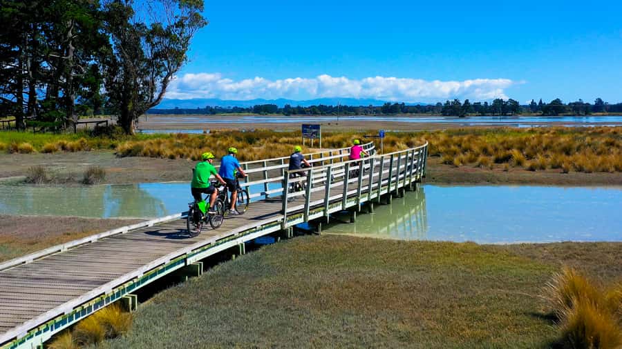 Nelson to Mapua: Full-Day Cycling Self-Guided Adventure - The coastal route and views across Waimea Estuary