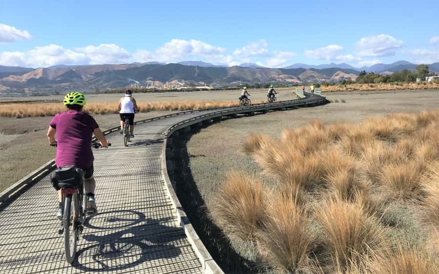 Nelson to Mapua: Full-Day Cycling Self-Guided Adventure - What the $77 price really covers