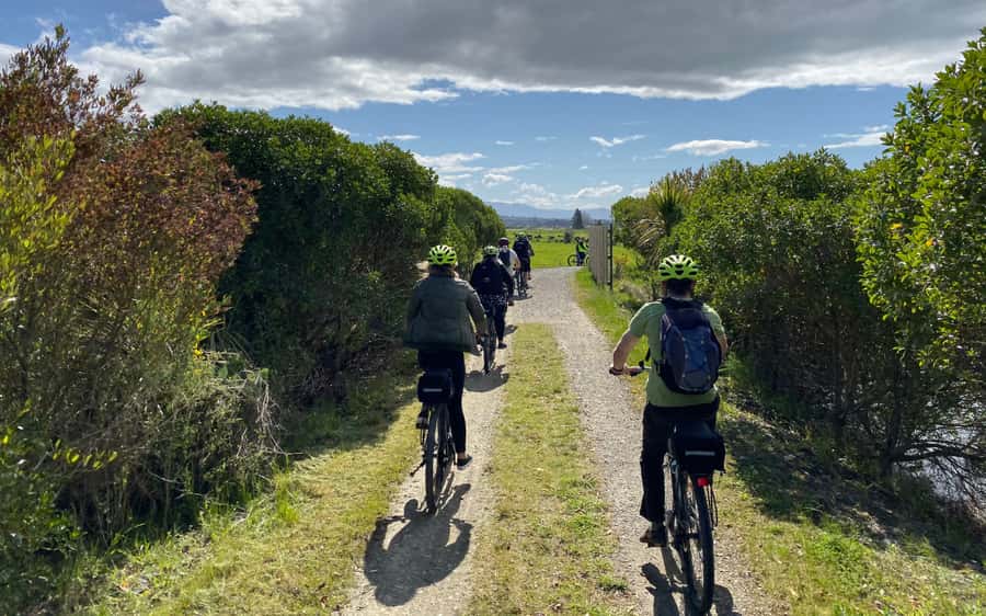 Nelson to Mapua: Full-Day Cycling Self-Guided Adventure - Who will enjoy this ride most
