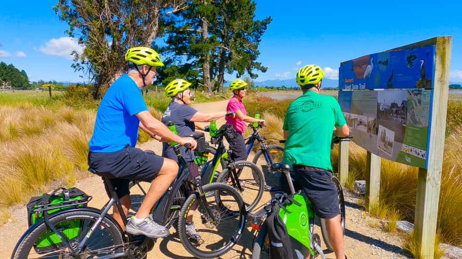 Nelson to Mapua: Full-Day Cycling Self-Guided Adventure - Nelson streets, the Classic Car Museum, and the Honest Lawyer