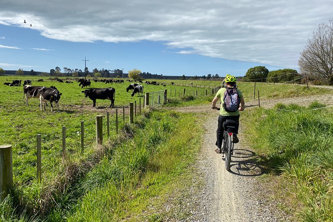 Nelson to Mapua: Full-Day Self-Guided Cycling Adventure - Eddyline Pizzeria and Brewpub near the coastal route