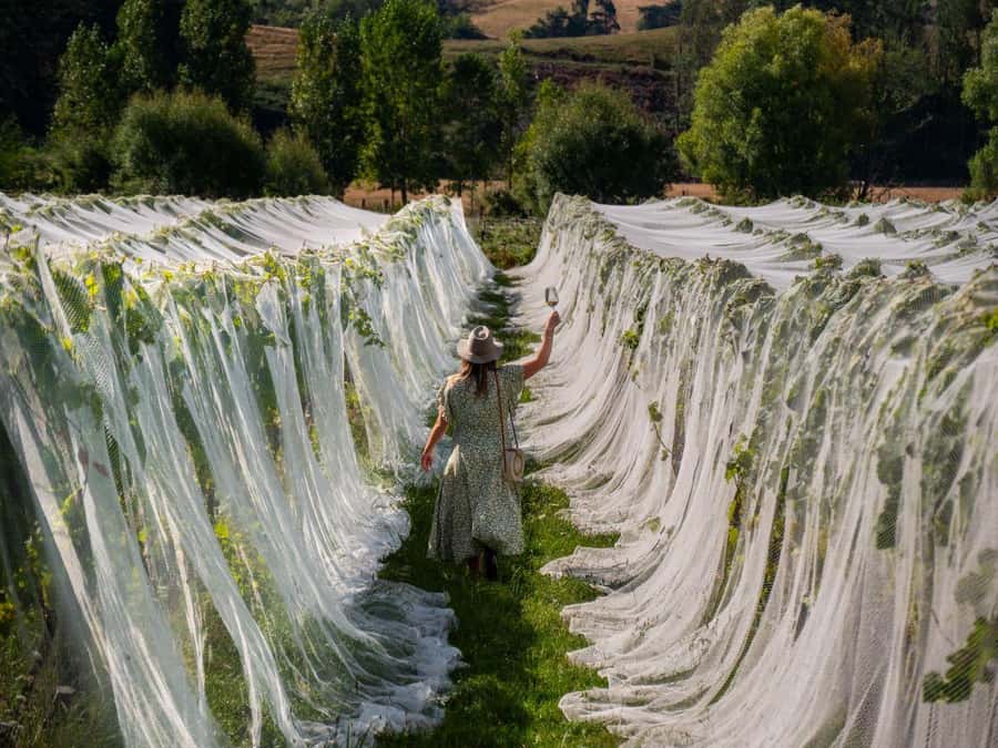 Nelson: Wine Tour with Tastings and Lunch - The first two cellar doors set the pace